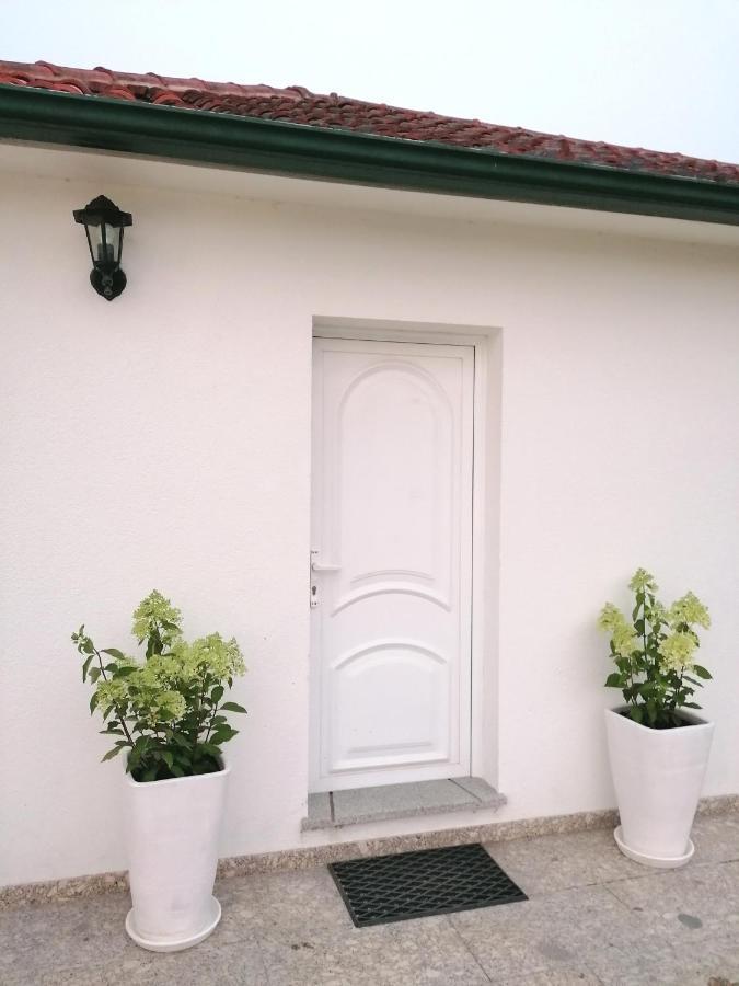 Casa Das Castanheiras ヴィエイラ・ド・ミーニョ エクステリア 写真